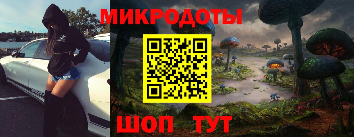 Лабинск  Псилоцибиновые грибы Psilocybine cubensis  Вход с VPN  Галлюциногенные грибы мицелий 